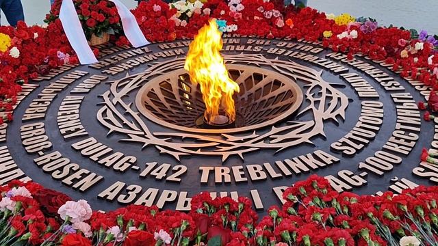 Вечный огонь память погибшим в ВОВ открыт в Гатчинском районе. смотреть онлайн