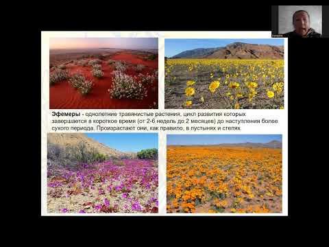 Онлайн-клуб от 18.04.2024 Поговорим о ПЕРВОЦВЕТАХ смотреть онлайн