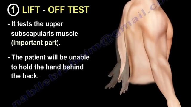 Rotator Cuff Tear ,injury - Everything You Need To Know - Dr. Nabil Ebraheim