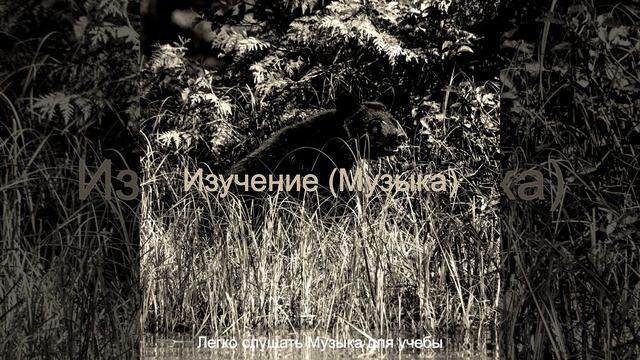 Видения (Концентрация) смотреть онлайн
