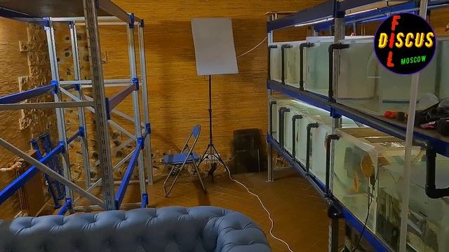 ОБУСТРОЙСТВО РАЗВОДНИ №1 смотреть онлайн