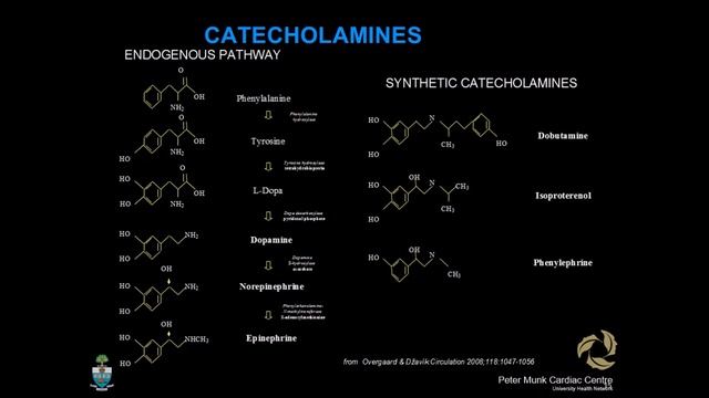6 - Vladimir Dzavik смотреть онлайн
