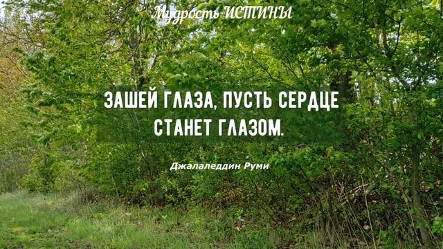 43 лучших советов, которые решат 87% Ваших жизненных проблем. Очень важные жизненные советы. смотреть онлайн