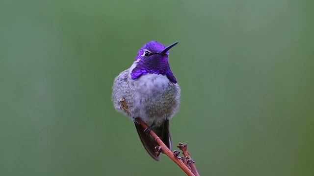The Best Relaxing and Soothing Music for the Soul смотреть онлайн