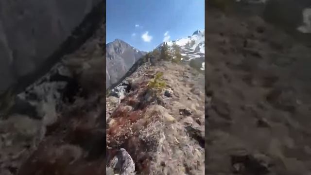 НОВОСТИ БУРЯТИИ