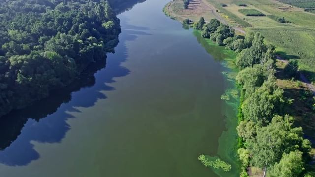 100 Successi Della Musica Italiana 🌴 Canzone Italiane Anni 60 70 80🌴Adriano Celentano #1 смотреть онлайн