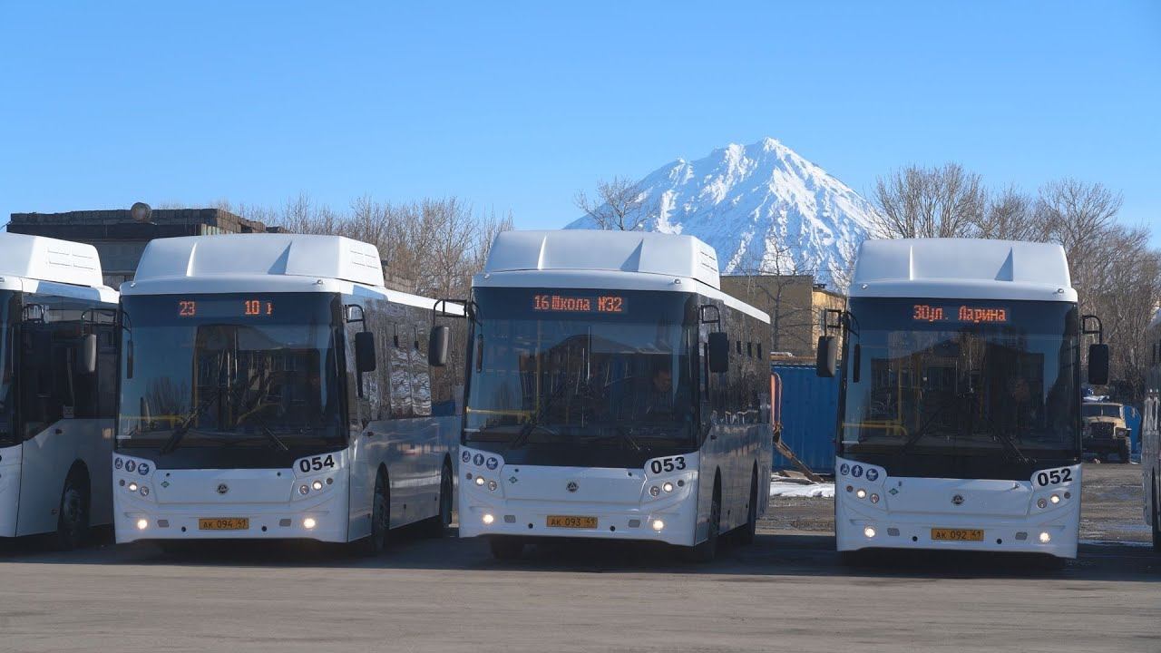 ЭКОЛОГИЧНЫЕ И КОМФОРТНЫЕ  | Новости Камчатки | Масс Медиа
