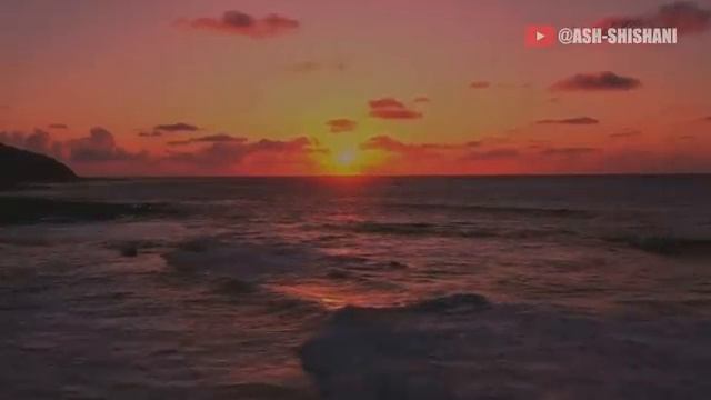 Очень Красивое Чтение Корана! Сура АТ-ТАУБА. Махьди Аш-шишани смотреть онлайн