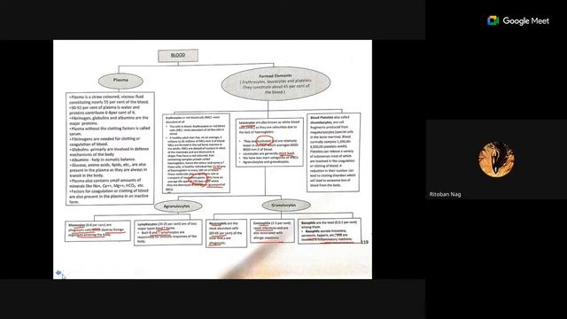 For NEET Biology Foundation Class XI - Parna Mitra смотреть онлайн