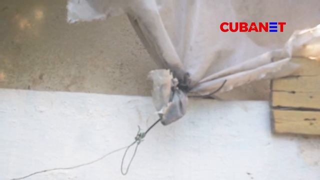 Madre e hija de El Caney piden una vivienda digna desde hace 10 años смотреть онлайн