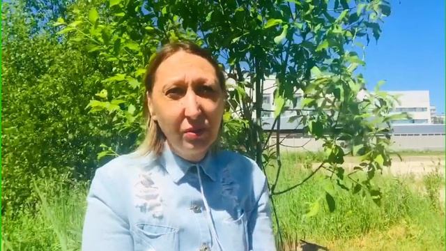 Выйти за рамки и суметь расширить границы своего внимания смотреть онлайн