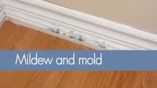 Aprilaire® Total Comfort In-Home Dehumidifiers смотреть онлайн