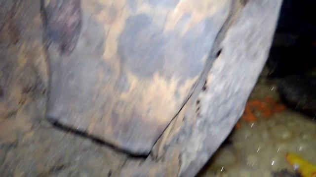 УКРАИНЕЦ ИЗ КИЕВА НАШЁЛ В РЕКЕ ДНЕПР НИЖНЮЮ ЧЕЛЮСТ МАМОНТА. 28.11.2023. MAMMOTH TEETH JAW смотреть онлайн