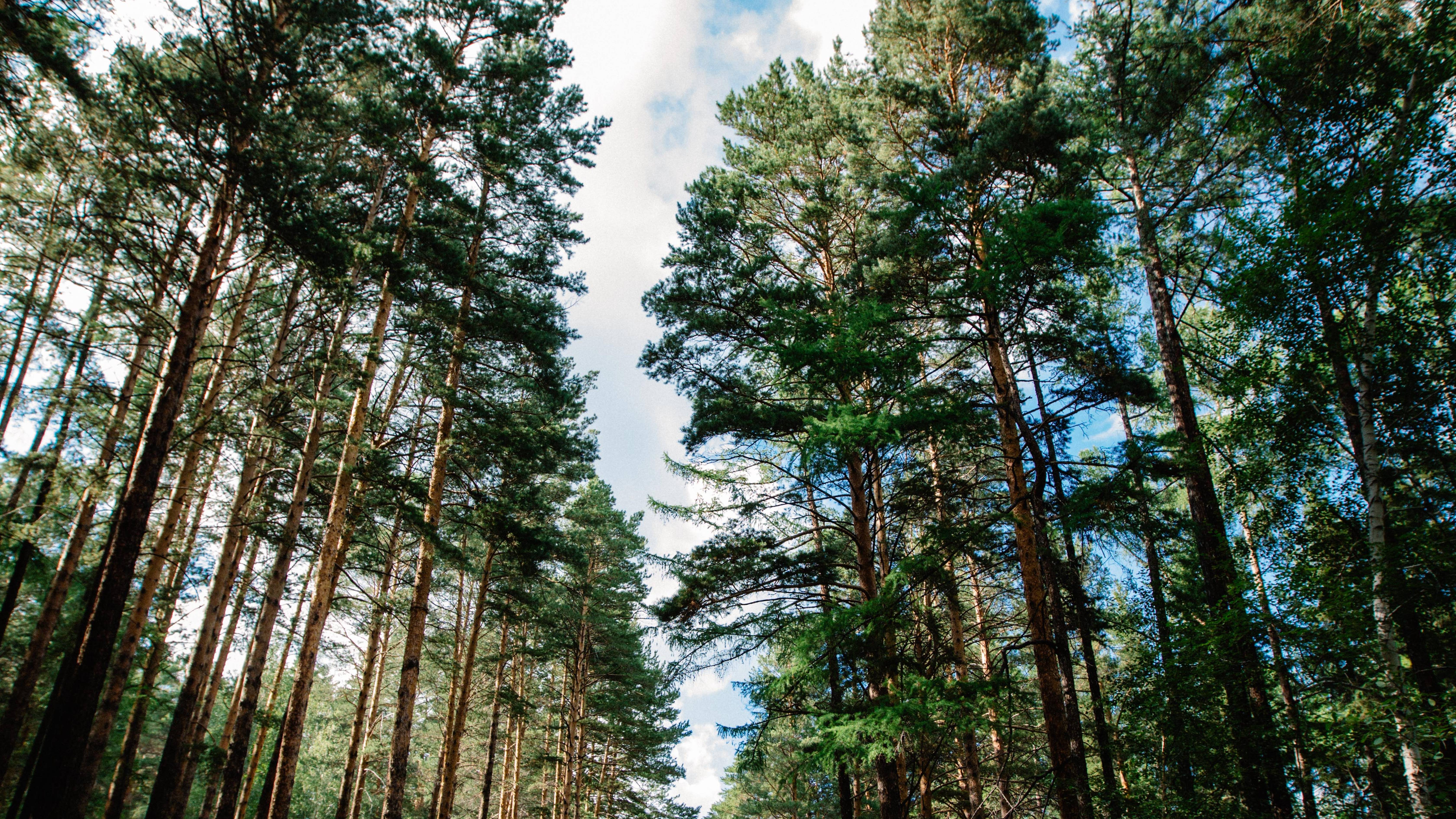 Андрей и Анастасия