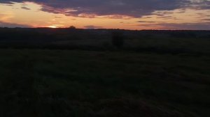 Shouse- All I need is your love tonight