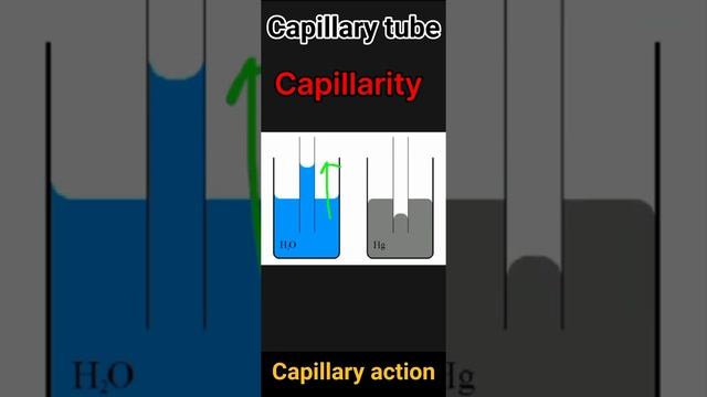 Capillary tube , capillarity & capillary action | #physics | #made_target_easy смотреть онлайн