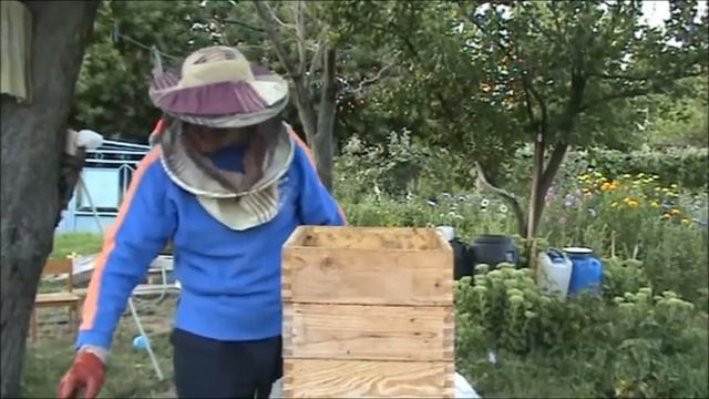 Видео № 36. Альпийский улей. Подкормка пчел сахарным сиропом 30. 07. 2019 г. смотреть онлайн