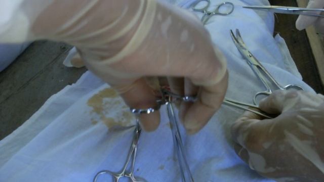 Thực tập mổ смотреть онлайн