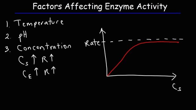 Factors Affecting Enzyme Activity - pH, Temperature, Competitive and Noncompetitive Inhibition смотреть онлайн