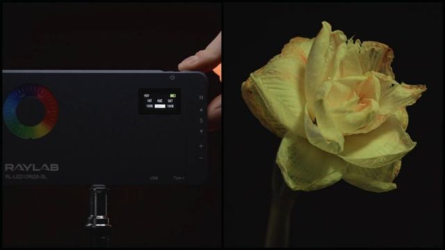 Осветитель светодиодный Raylab RL-LED12RGB 2500-9000К смотреть онлайн