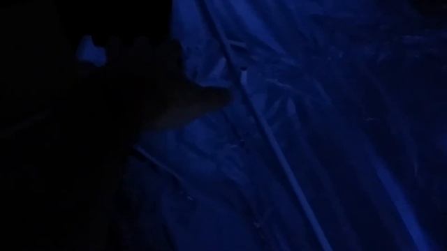 1000 watt DWC Gorilla Tent, T5 pre-vegetative tent, T5 mother area, & cloning station (pt.6) смотреть онлайн