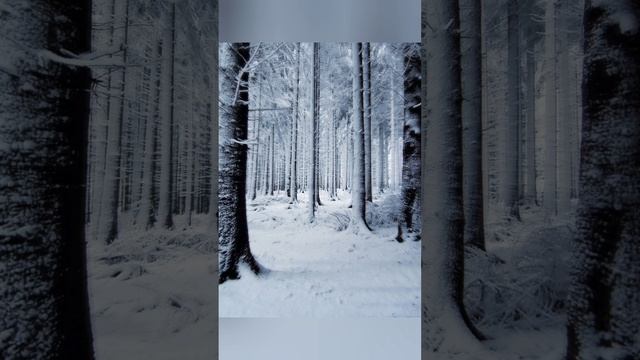 АУДИОКНИГА ВАЛЬКИРИЯ МАРИИ СЕМЕНОВОЙ.ЧИТАЮ Я.БАСНЬ ВТОРАЯ