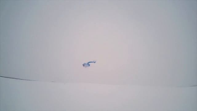 MF 3 test смотреть онлайн