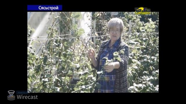 Прямая трансляция пользователя ТЕРА-Студия Телерадиокомпания смотреть онлайн