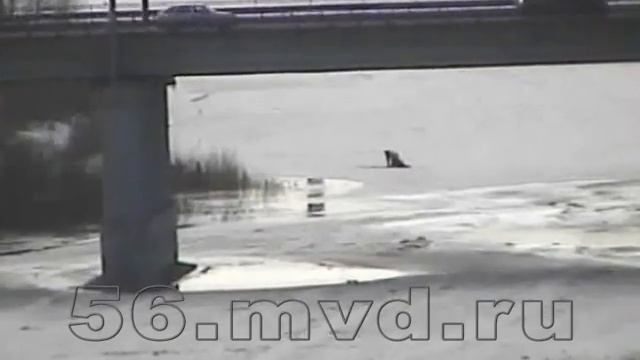 56mvdru Orenburg spasenie zastryavshego vo ldah mujchiny смотреть онлайн