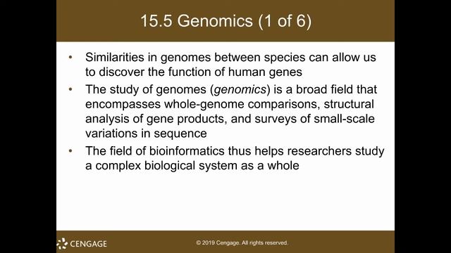 Biotech pt 3.mp4 смотреть онлайн