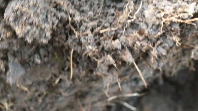 Nokta Makro Simplex/SP24/How to I.D Iron/Metal Detecting Uk смотреть онлайн