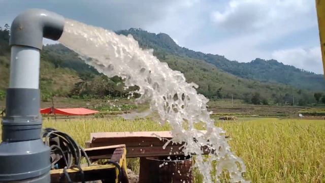 sibel HCl 2 Hp смотреть онлайн