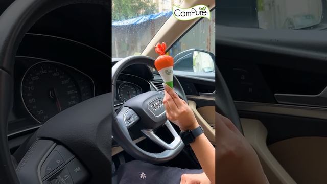 CamPure Tiranga Cone смотреть онлайн