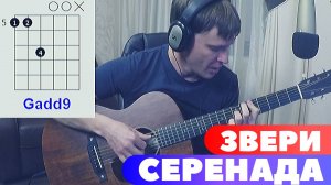 Звери - Серенада (аккорды) 🎸 кавер табы как играть на гитаре