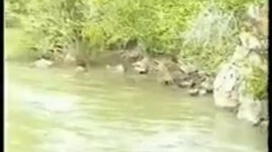 Реки Семиречья  Кок   Су