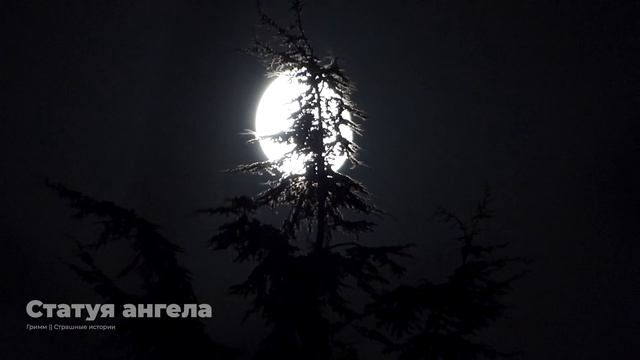 Тени Тайного Мира: Человек за Окном, Ангел Страж и Дверь в Кошмар смотреть онлайн
