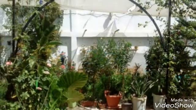 Mon beau jardin смотреть онлайн