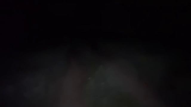 #770- Siew pasowy buraków cukrowych 2024! Ekstremalne warunki! Ale Mateusz czyni cuda! смотреть онлайн