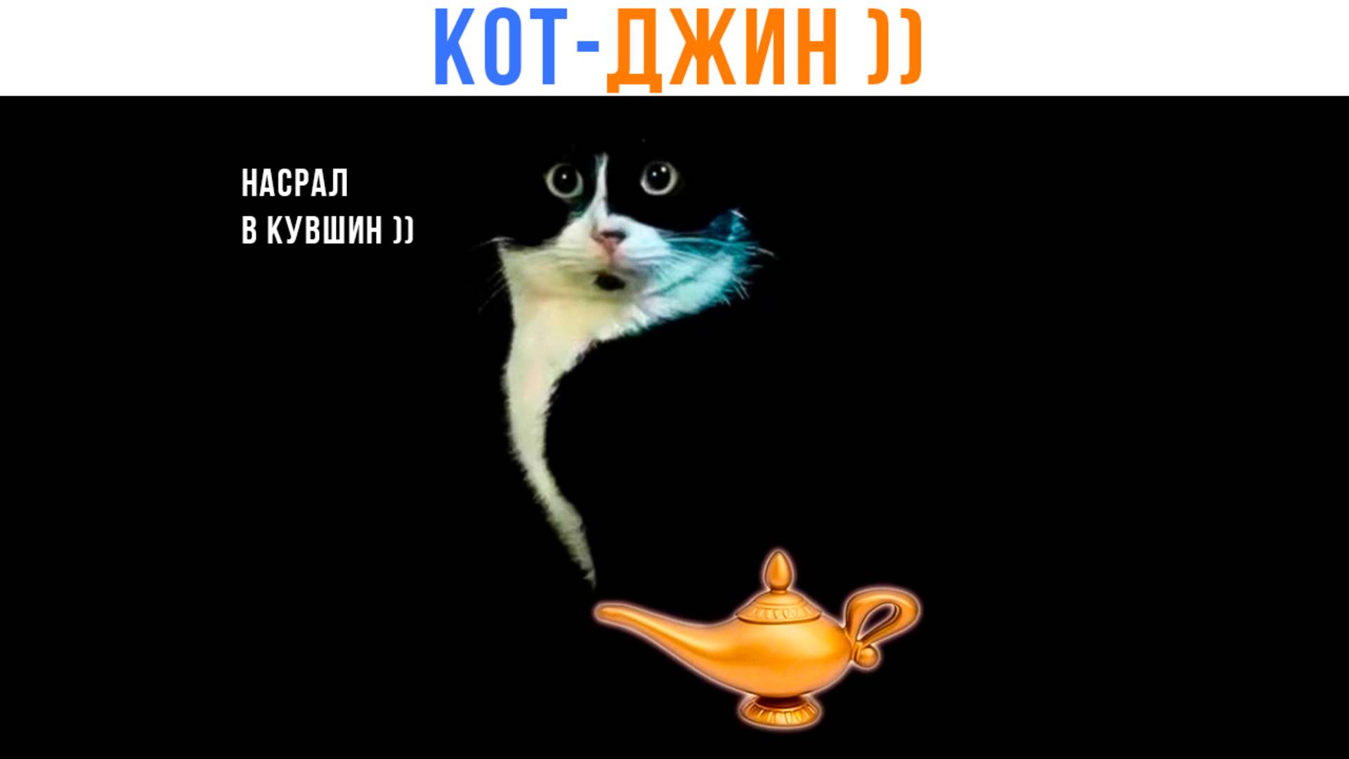 КОТ-ДЖИН ))) | Приколы с котами | Мемозг 1524 смотреть онлайн