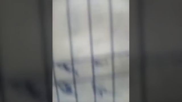 Мои оценки в первом классе смотреть онлайн