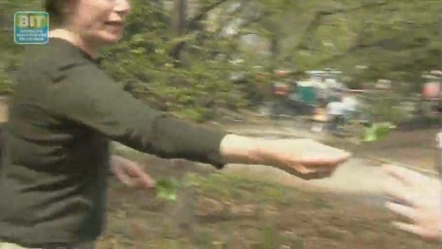 Prospect Park Foraging: Brooklyn Review смотреть онлайн