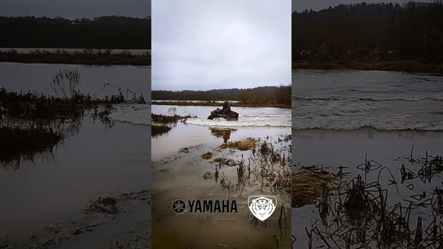 Grizzly переплывает Оку #atv #квадроциклы #yamaha смотреть онлайн