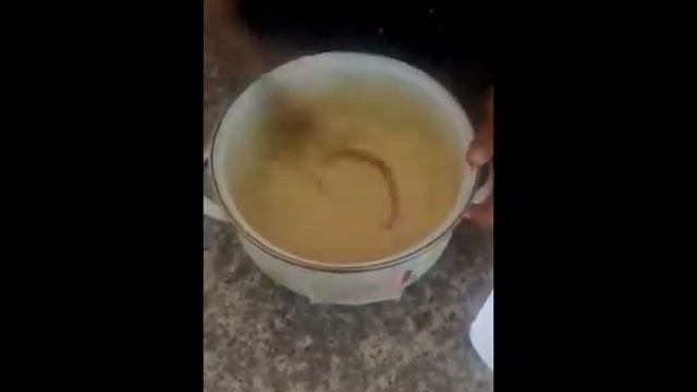 jabon en base a sosa caustica смотреть онлайн