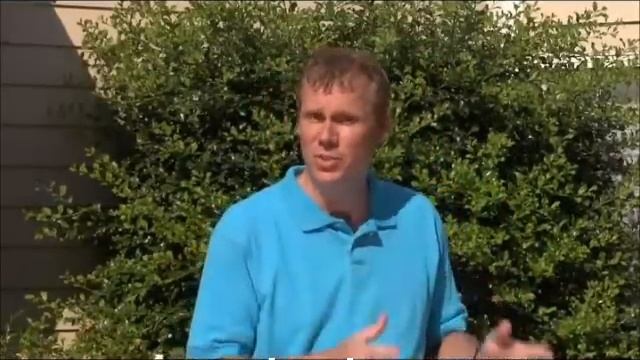 Omni Synergy Swimming Pool Sanitizer смотреть онлайн