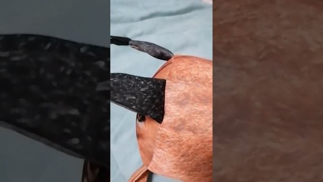 Миша и Мама боксёр# #блоптоп #ozon #валдберис #шлёпа #bloptop #миша смотреть онлайн