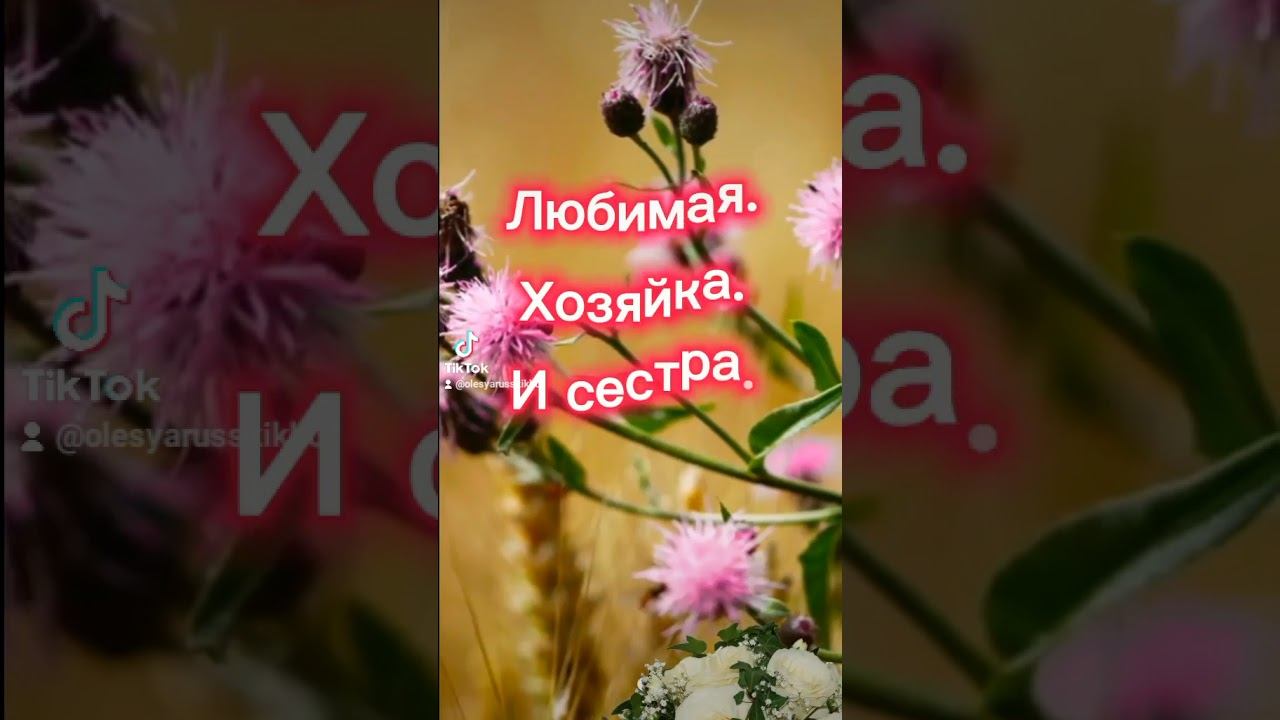 #статусы #жизнь # смотреть онлайн