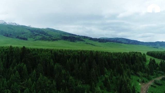 Туулган жерим менен сыймыктанам / РОЛИК смотреть онлайн