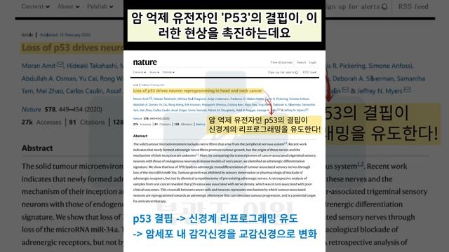 암의 증식과 전이를 예방하는 과학적으로 검증된 최고의 방법! смотреть онлайн