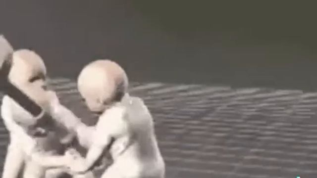 Тыдын тыдын тыдын