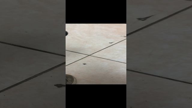 28-11-2024 смотреть онлайн